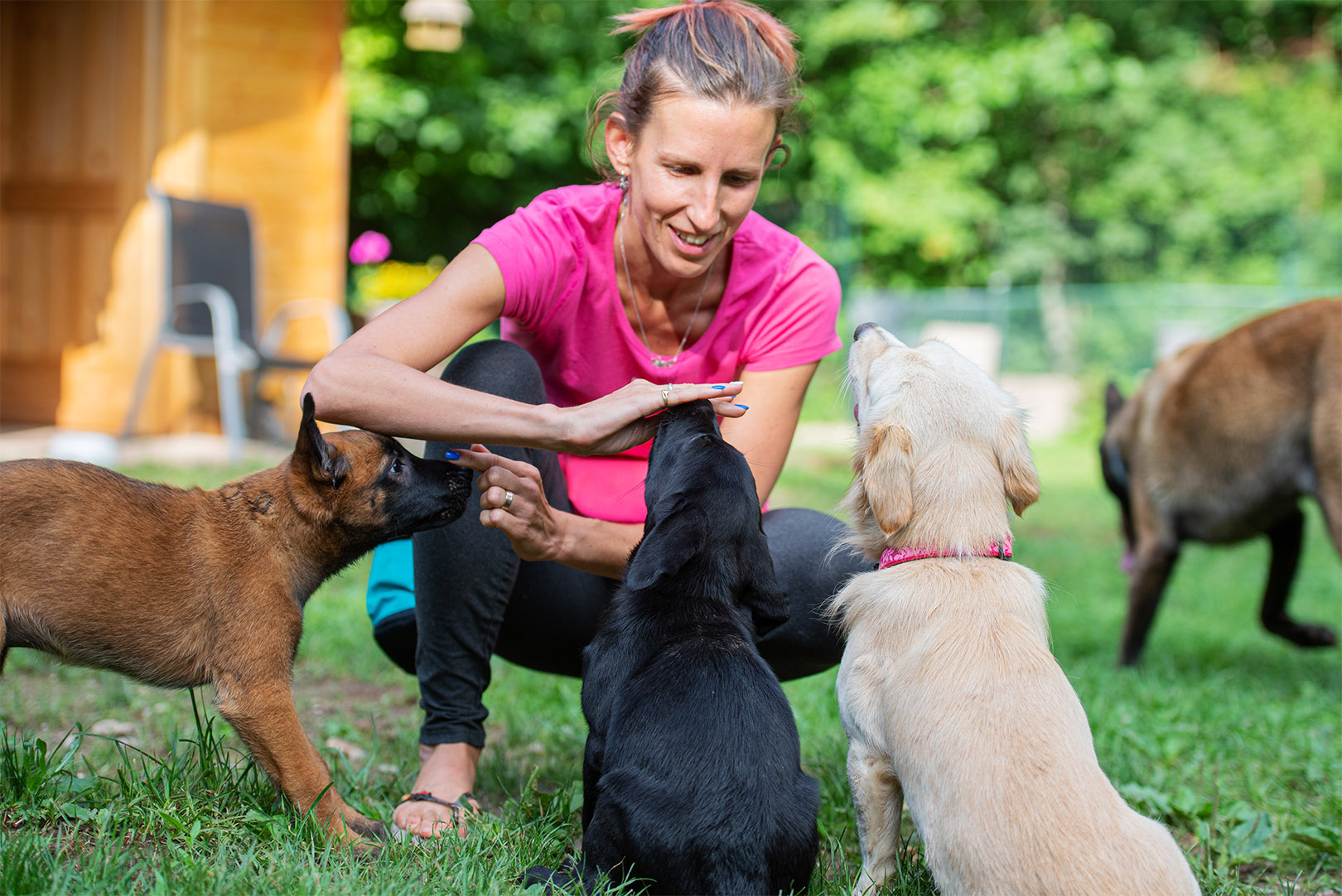 Caroline: Comment dresser un chien