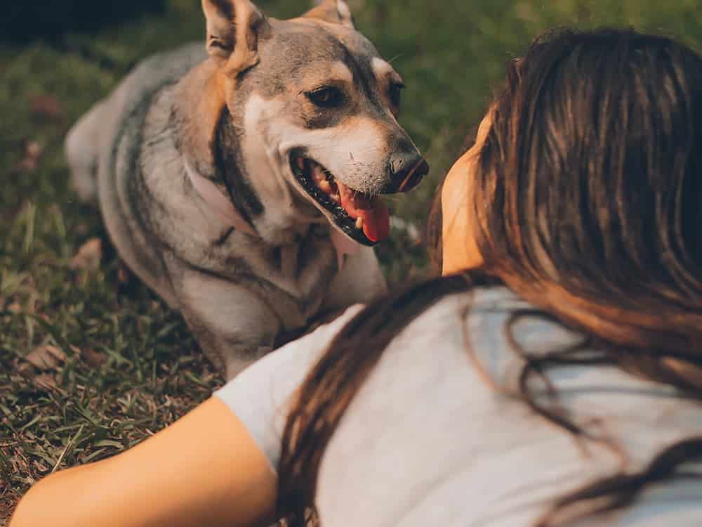 Girl and dog