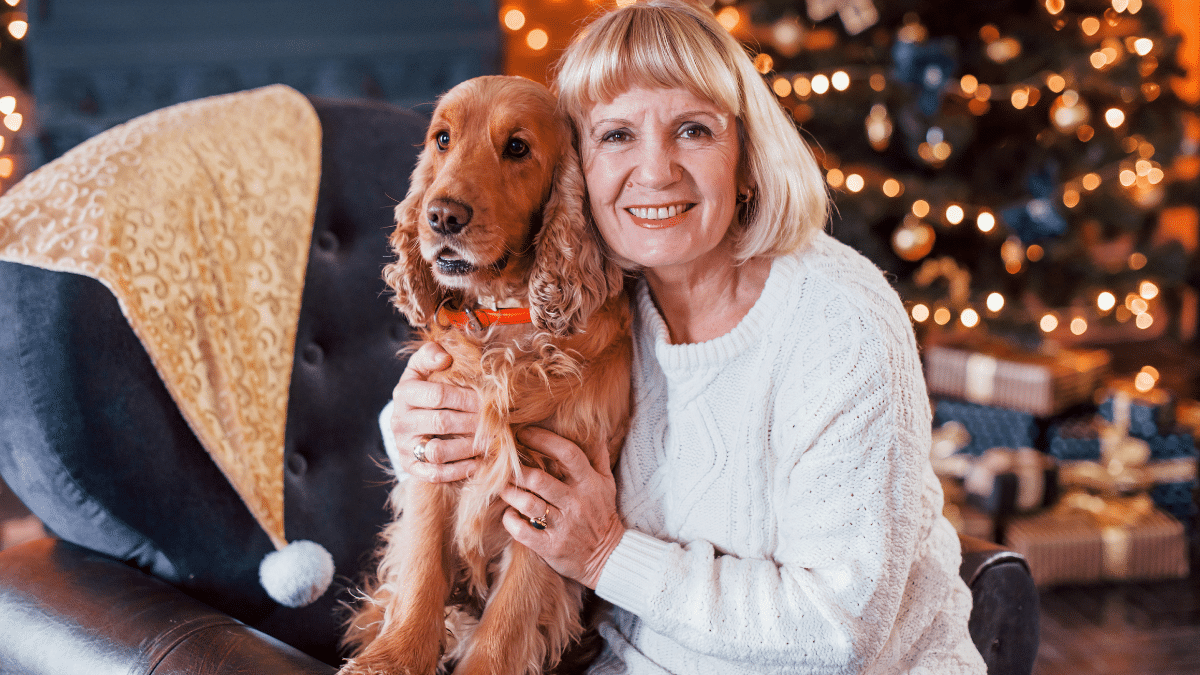 Cocker spaniel affectueux, sociable, proche des humains