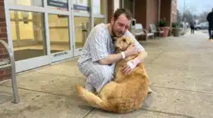 Un homme en chemise étreint tendrement un chien labrador doré