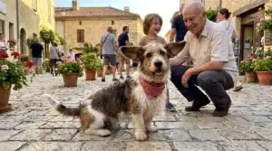 Homme et enfant caressent un chien dans une rue pavée