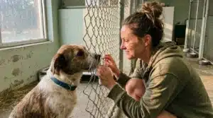 Femme souriante caressant un chien à travers un grillage